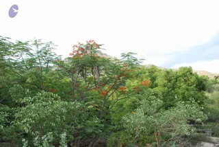 August 01 2008