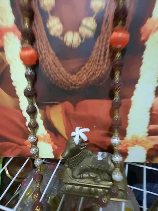 KAILASA SAN FERNANDO, TRINIDAD & TOBAGO on 1/2/2021