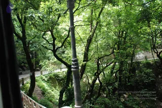 June 29 2008