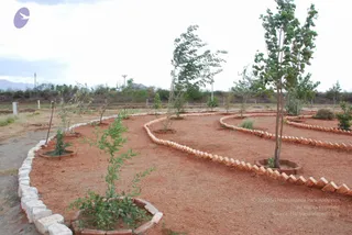July 14 2009