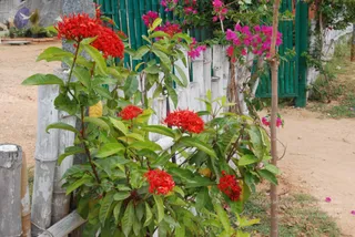 July 08 2010