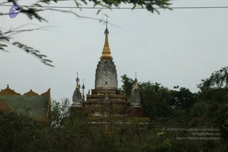 July 30 2011