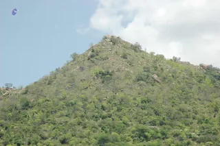 April 06 2008