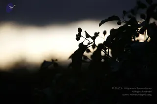 August 10 2011