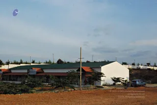 November 20 2008