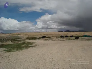 August 03 2011