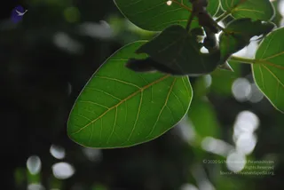 September 07 2009