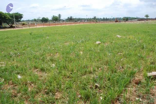 July 19 2010