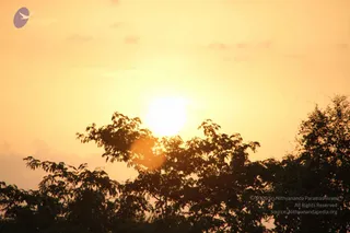 June 03 2012
