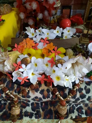 Photo 8284420