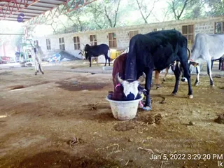 January 05 2022