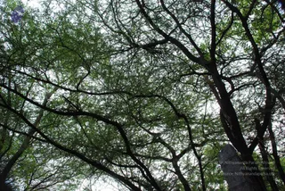 August 03 2008