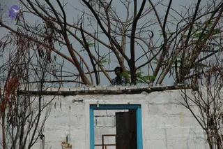 June 05 2010