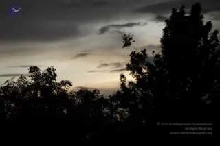 August 10 2011