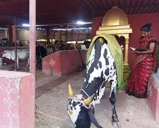 Jan 26 2022 sripuram