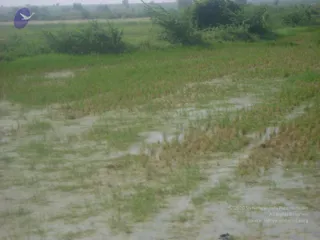 September 2006 - Sindhanur flood relief