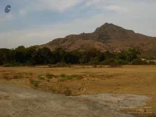 1978 - Tiruvannamalai