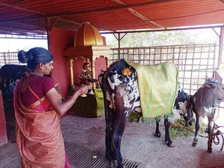 Jan 31 2022 sripuram