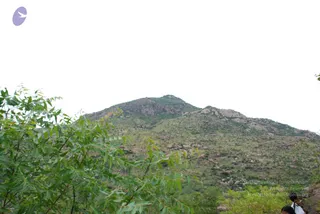 August 02 2008