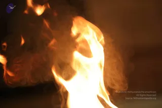 May 31 2018
