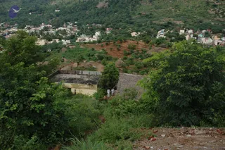 May 20 1989