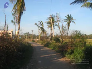 January 06 2012