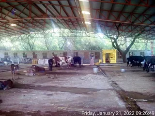 January 21 2022