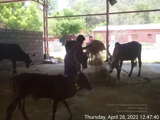 April 28 2022