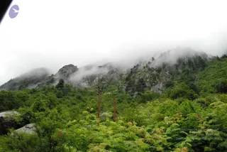 July 08 2008