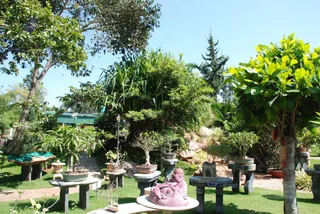 October 29 2008