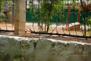 September 07 2009
