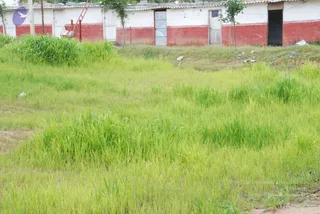 July 19 2010