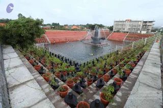 July 05 2011