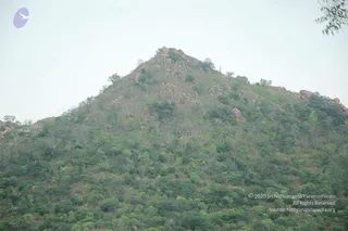 April 05 2008