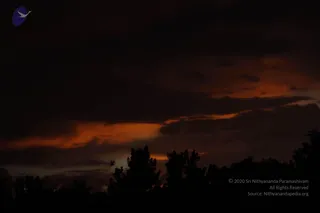 August 10 2011