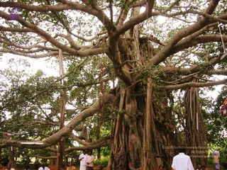 2004 - First Sannyas Deeksha At AdiKailaasa