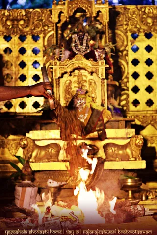A homa fire burns in a golden shrine before an ornate golden deity murti seated on a throne flanked by golden lion figures, adorned with jewelled crown, garlands and draped cloth. A hand in the lower left, wearing a ring and bangle, pours grains or offerings from a metal vessel into the flames of the fire pit. Brass vessels and burning logs sit in the foreground, and gold lattice panels frame the shrine. Overlay text reads yagashala shodashi homa and day 10 rajarajeshwari brahmotsavam.