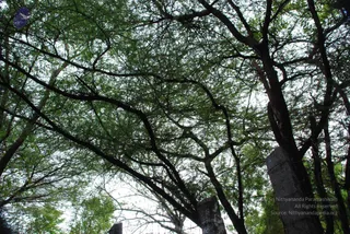 August 03 2008
