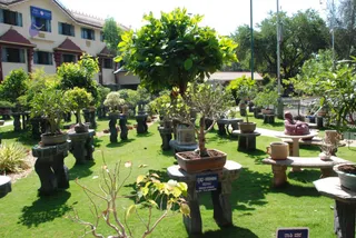 October 29 2008