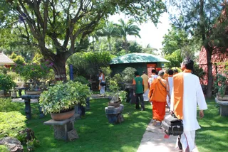 October 29 2008