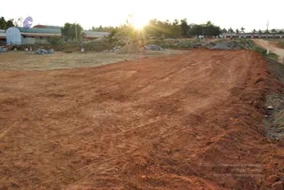 November 20 2008