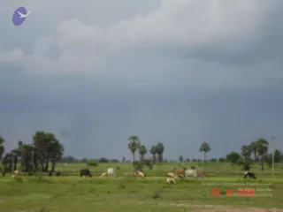 October 29 2006