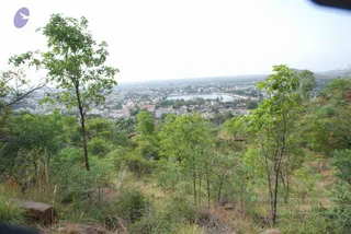 August 03 2008