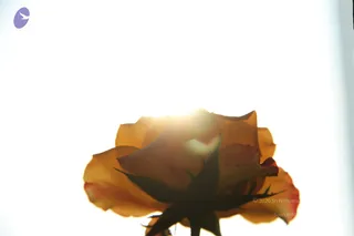October 03 2014