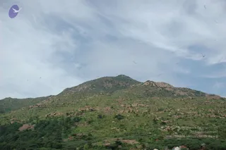 May 20 1989