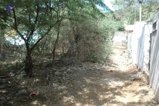 March 03 2007