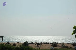 20061110 Photo 68 1ZgVn4N OAqH4RYl3QH18ChqzfHuTyjFe.jpg