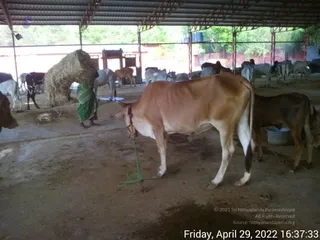 April 29 2022