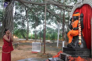 August 29 2011