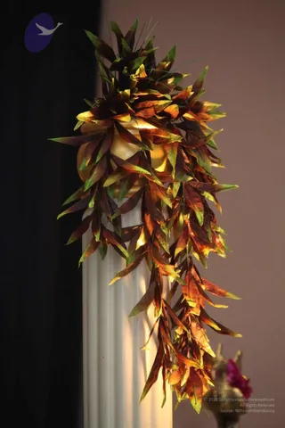 20111103 Photo 1135 1PMvmwJ1yw3Jkx7iyzwdSS5nrqpF-aQHB.JPG
